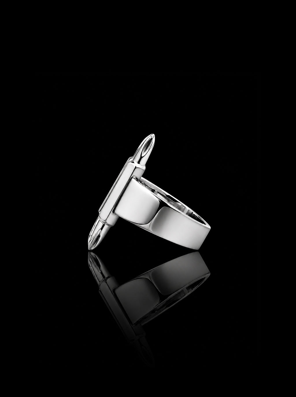 Dual-driverbits ring