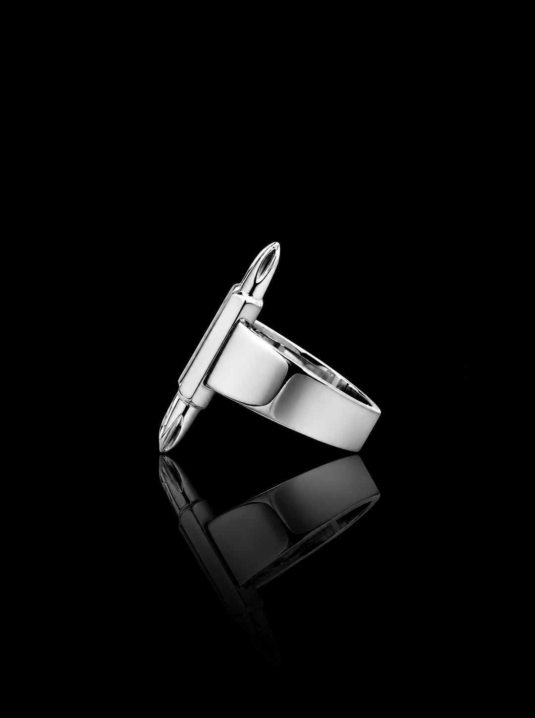 Dual-driverbits ring